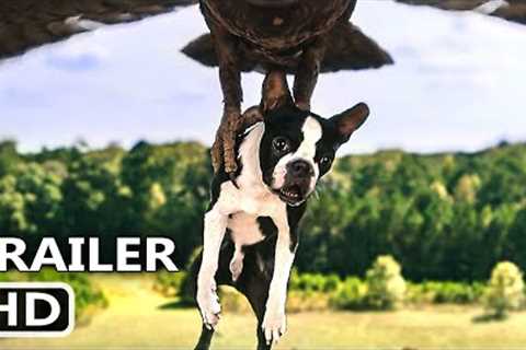 STRAYS Trailer 2 (NEW, 2023) Isla Fisher, Will Ferrell, Jamie Foxx, Comedy Movie